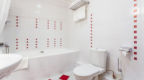 Park Hotel Sosnovy Bor