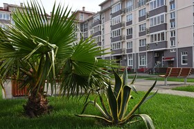 Barkhatnye Sezony Russky Dom Resort Semeiny Kvartal