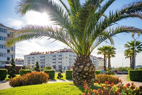 Barkhatnye Sezony Russky Dom Resort Sportivny Kvartal