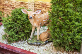 Da Vinchi Guest House