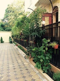 Guest House Grifon