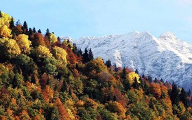 Hotel Dacha na Berezovoy