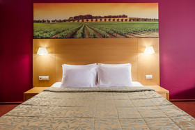 Business Hotel Eurasia