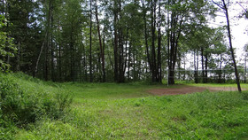 Guest Complex Silent Forest