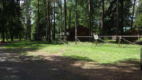 Guest Complex Silent Forest