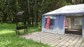 Guest Complex Silent Forest