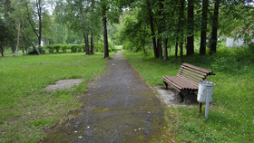 Guest Complex Silent Forest