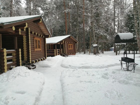 Guest Complex Silent Forest