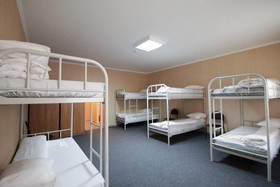 Zebra Hostel