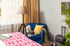 Easy Room