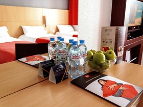 ibis Nizhny Novgorod Hotel