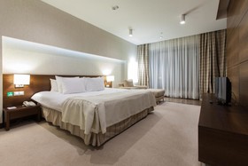 Holiday Inn Samara