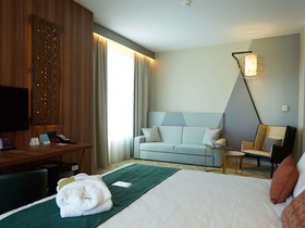 Mercure Saransk Center