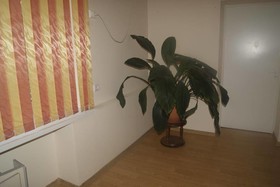 Podsolnuh Hostel