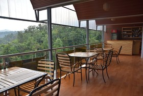 Chimpanzee Lodge