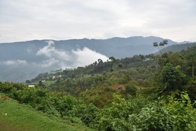 Chimpanzee Lodge