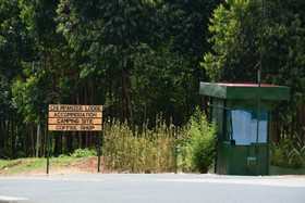 Chimpanzee Lodge