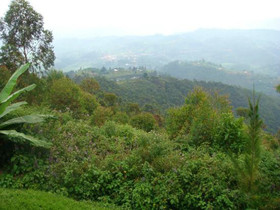 Nyungwe Top View Hotel