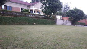 Airport First Choice Luxury Motel