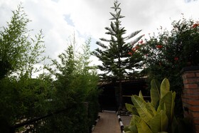Ikoro House