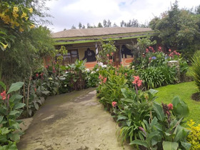 Villa Gorilla