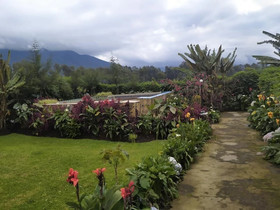 Villa Gorilla