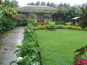 Villa Gorilla