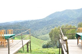 Nyungwe Nziza Ecolodge