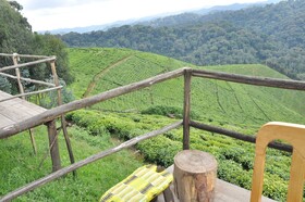 Nyungwe Nziza Ecolodge