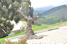 Nyungwe Nziza Ecolodge
