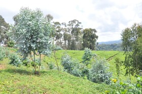 Nyungwe Nziza Ecolodge
