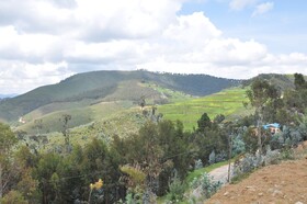 Nyungwe Nziza Ecolodge