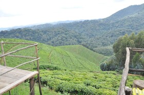 Nyungwe Nziza Ecolodge