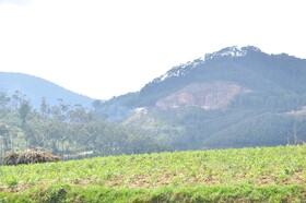 Nyungwe Nziza Ecolodge