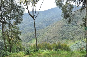 Nyungwe Nziza Ecolodge