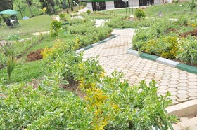 Nyungwe Nziza Ecolodge