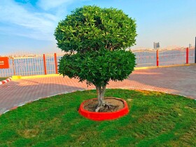 Morjan Chalets Families Only