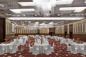 Millennium Hotel Hail