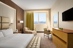 Millennium Hotel Hail