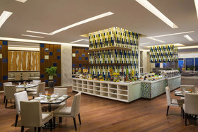 Millennium Hotel Hail