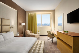 Millennium Hotel Hail