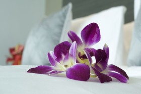 Novotel Jeddah Tahlia Street
