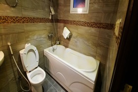 The Blue Rose Hotel by OYO Rooms