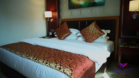 Velvet Hotel