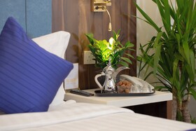 Vandal Hotels