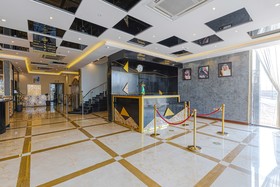 Luma Homes