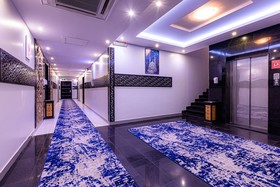 Luma Homes