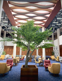 Celine Home Hotel