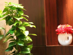 Golden Prince Al Sulaimania Hotel