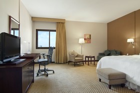 Hilton Garden Inn Riyadh Olaya